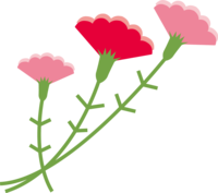 3 simple cute carnations