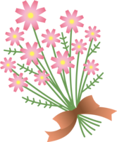 许多大波斯菊花束