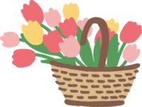 Cute tulips in a basket
