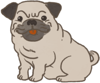 Pug (smiling) Cute dog