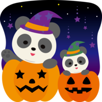 Halloween (pumpkin pair) Cute panda animals