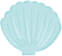 Scallop shell / sea