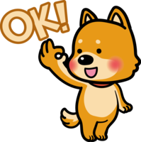 Shiba Inu OK