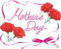 Frame frame on Mother's Day Ribbon and carnation Illustration frame with characters (Mother's-Day)