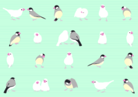 Bird-Cute background