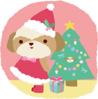 シーズー(犬)サンタクロースのクリスマスかわいい動物
