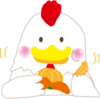 Cute of the 2017 zodiac of the rooster eating oranges