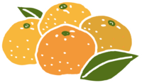 时尚四个橘子和叶橘子