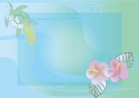 扶桑(和风)(龟水色)花框架