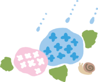 Cute hydrangea, raindrops and snails