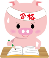 Pig studying for entrance exam