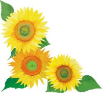 Sunflower large flower-lower left corner decoration illustration (fashionable and beautiful real edition)