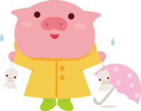 豚-梅雨-傘-かわいい動物