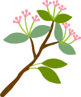 Cute leaf cherry blossom illustration-Image of only leaves that can be used even when the cherry blossoms are scattered