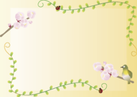 杏(あんず)春(3~4月)花フレーム