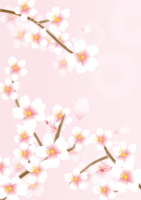 縦の立体的な桜の枝と花背景フリーイラスト画像