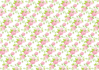 Background pattern with roses (pink) lined up