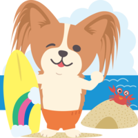 Papillon (dog) sea opening-cute surfing