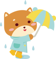 Shiba Inu-rainy season-umbrella-cute animal