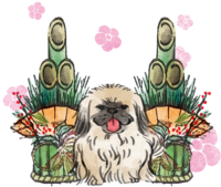 Year of the dog-Pekingese Japanese style (Kadomatsu) 2018 Zodiac illustration-Front sitting