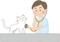 猫を聴診器で診察するお医者さん(獣医)
