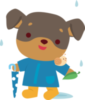 ミニチュア-ピンシャー(犬)梅雨-傘-かわいい動物