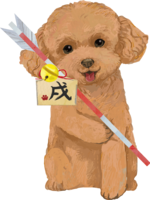 Toy Poodle and Hamaya-Year 2018 Zodiac