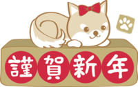 New Year (Shiba Inu sleeping on Happy New Year) Illustration 2018 Cute dog