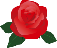 Rose-Flower