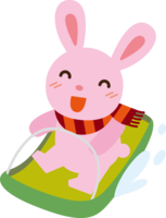 Winter (rabbit playing sledding)