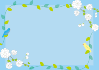 蜆花(しじみばな)春4月の花フレーム
