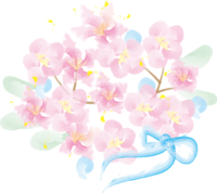 Cute cherry blossoms-Spring petals illustration (watercolor)
