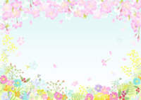 かわいいピンクな桜の花びらとお花の背景