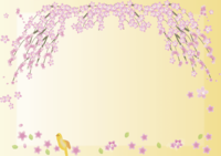 枝垂桜-春(3~4月)花フレーム