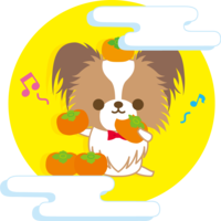 Papillon (dog) 15 nights (eating persimmons on the moon) animals