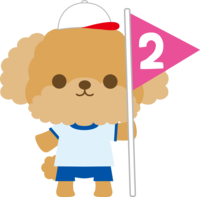トイプードル(犬)の体育祭(2位の旗)動物