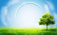 Fashionable beautiful blue sky and rainbow background of meadow and one tree
