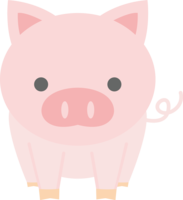 Pig (cute pose)