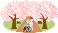 桜並木の下で介護師や看護師が車椅子に老人と花見する