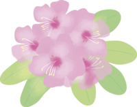 Ishikusuhana (flower) Spring