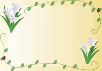 著莪(しゃが)春(3~5月)花フレーム