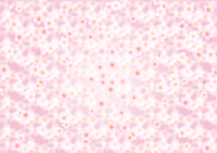Fashionable cherry blossom pattern background