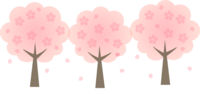 Light-colored cherry tree