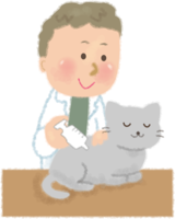 猫に注射する獣医／病院