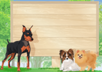 Signboard background standing in the forest with dogs