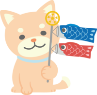 Shiba Inu is a cute animal with a carp streamer