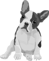 French-Bulldog black and white monochrome and cool dog