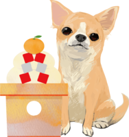 Kagami mochi and Chihuahua (dog) Year of the dog 2018 Zodiac