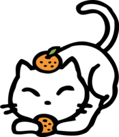 A cat holding a mandarin orange with a cute mandarin orange on its head