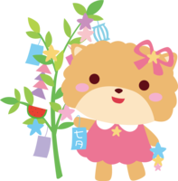 Pomeranian (Dog) Tanabata-Cute Animal